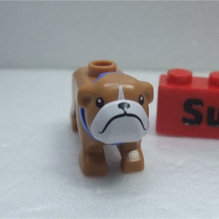 【積木2010】樂高 LEGO 牛奶糖色 鬥牛犬 / 法鬥 / 小狗 Bulldog 動物 (60258)-細節圖3