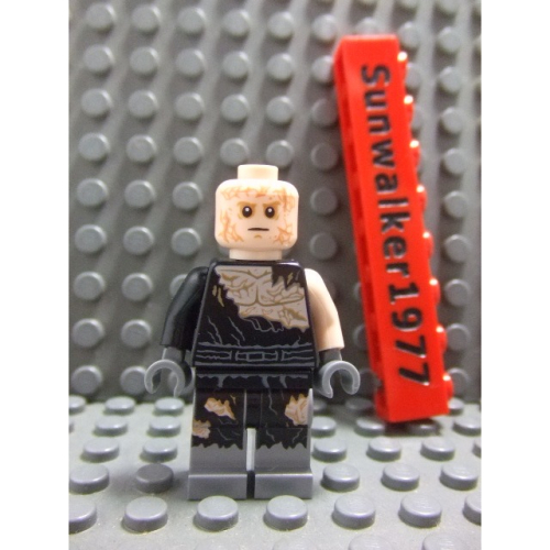 【積木2010】樂高 LEGO 戰損 安納金 星際大戰 Anakin Skywalker / 75183