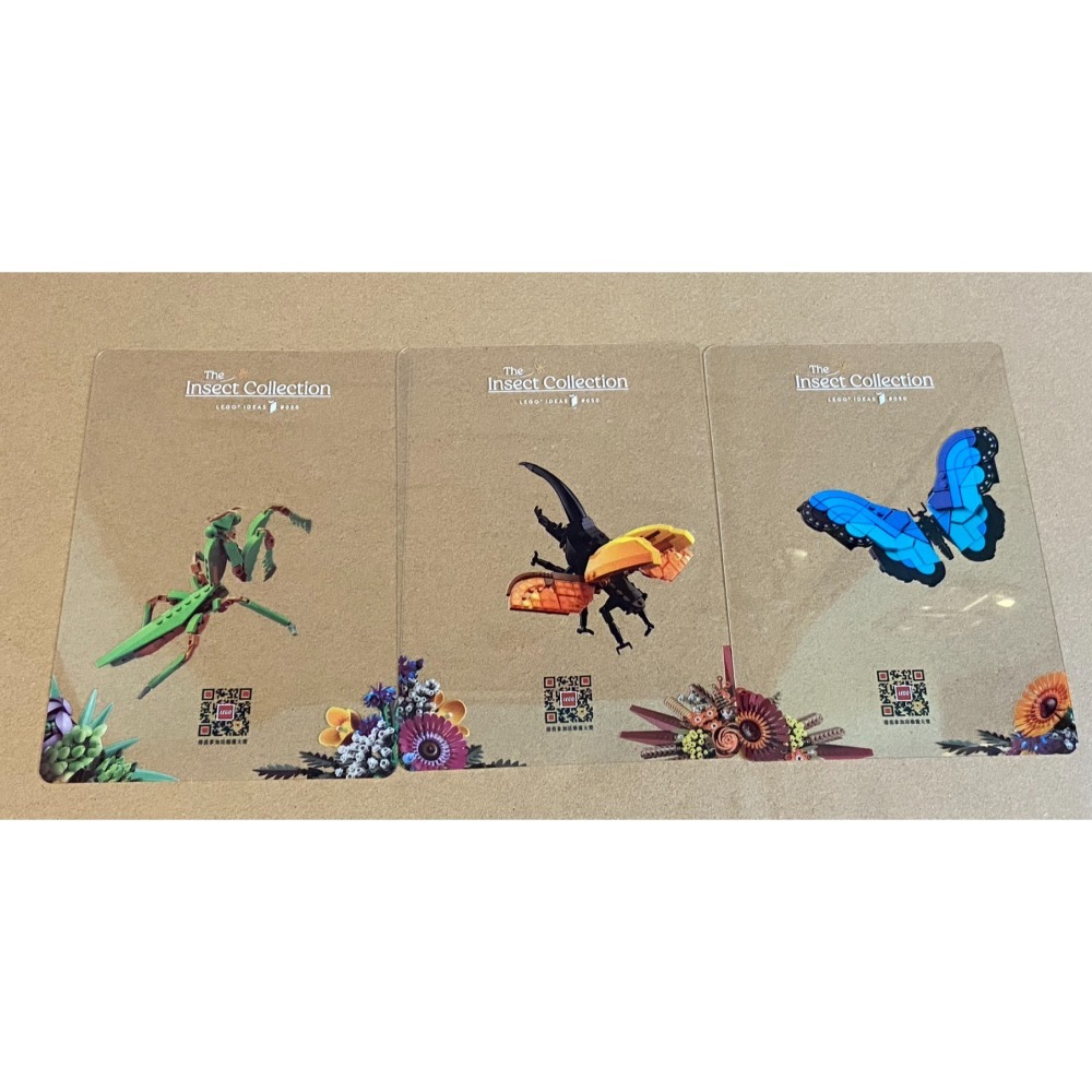 外盒擦損特價 【積木2010】樂高 LEGO 21342 昆蟲 IDEAS / 蝴蝶  螳螂 長戟大兜蟲-細節圖6