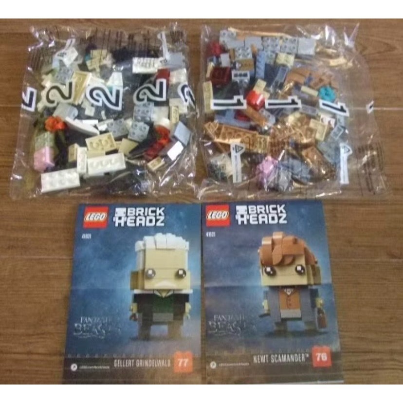 無外盒【積木2010】樂高 LEGO 41631 紐特 與 葛林戴華德 / 怪獸與牠們的產地 / 大頭人 / 哈利波特-細節圖2