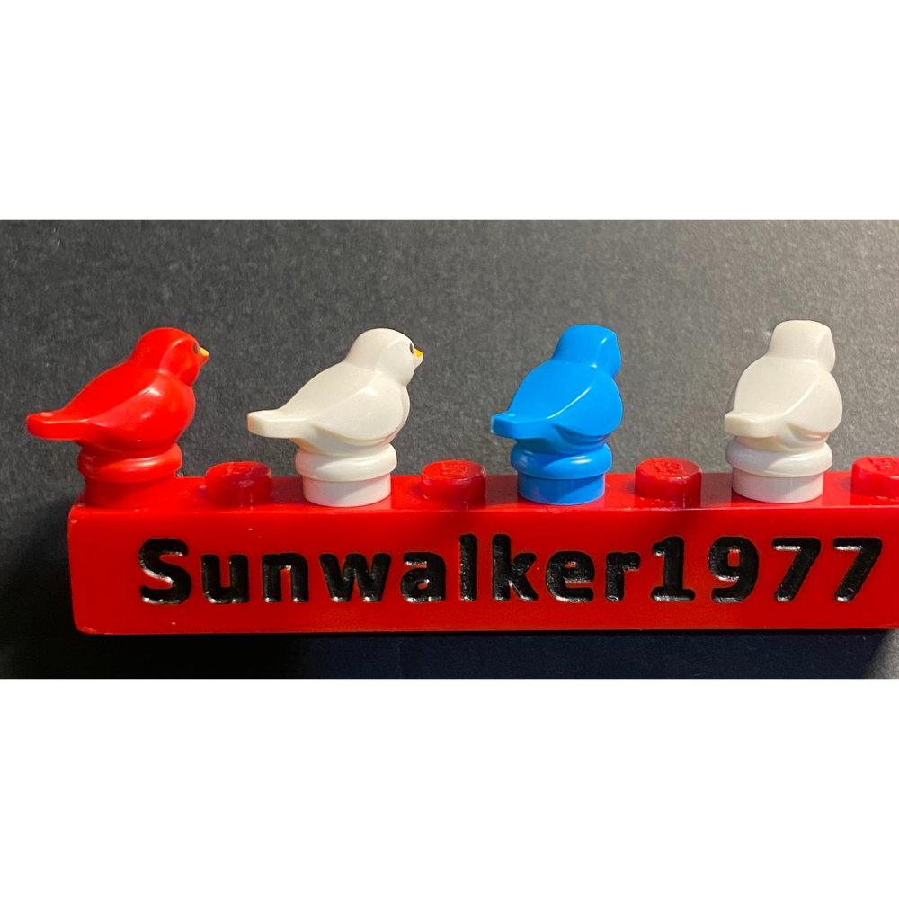 【積木2010】樂高 LEGO 小鳥 鴿子 麻雀 鳥 / 動物 41835pb01 / 41835-細節圖2