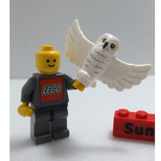 【積木2010】樂高 LEGO 白色 貓頭鷹 嘿美 / 動物 哈利波特 / 75979 / 67632pb01-細節圖3