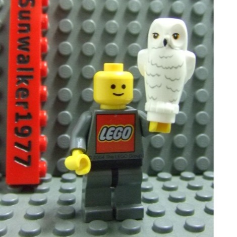 【積木2010】樂高 LEGO 白色 貓頭鷹 / 哈利波特 嘿美 92084pb03 (10217 4842)-細節圖3