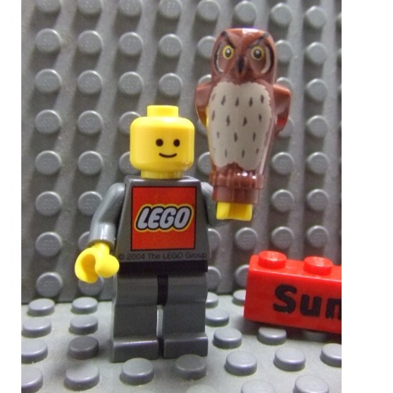 【積木2010】樂高 LEGO 紅棕色 貓頭鷹 / 動物 Reddish Brown / 92084pb01-細節圖2