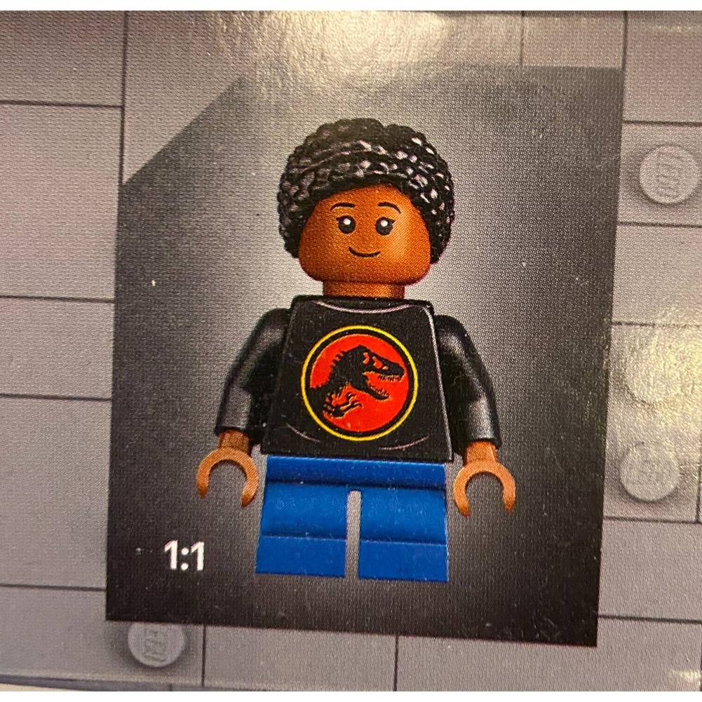 【積木2010】樂高 LEGO 76969 恐龍化石 三角龍頭骨 恐龍 / 侏儸紀世界 JURASSIC WORLD-細節圖4