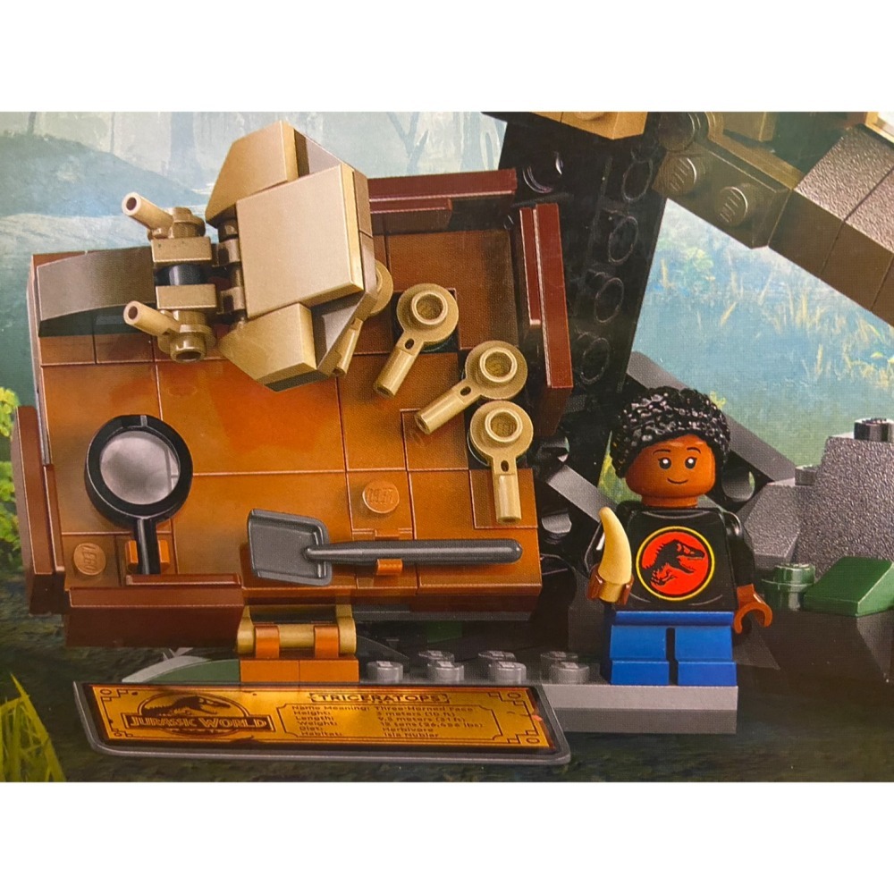 【積木2010】樂高 LEGO 76969 恐龍化石 三角龍頭骨 恐龍 / 侏儸紀世界 JURASSIC WORLD-細節圖5
