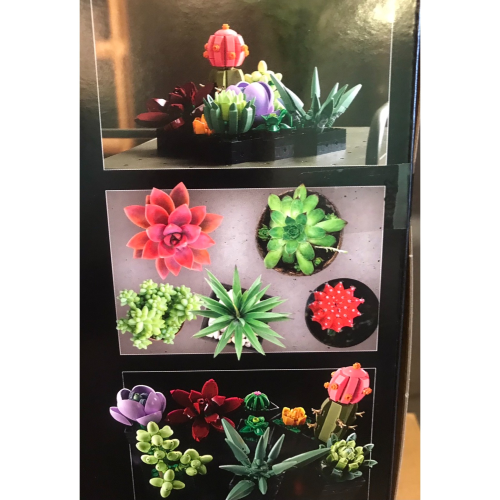合售出清特價【積木2010】樂高 LEGO 10311 蘭花 + 10309 多肉植物/ 全新未拆 樂高 植物 盆栽-細節圖4
