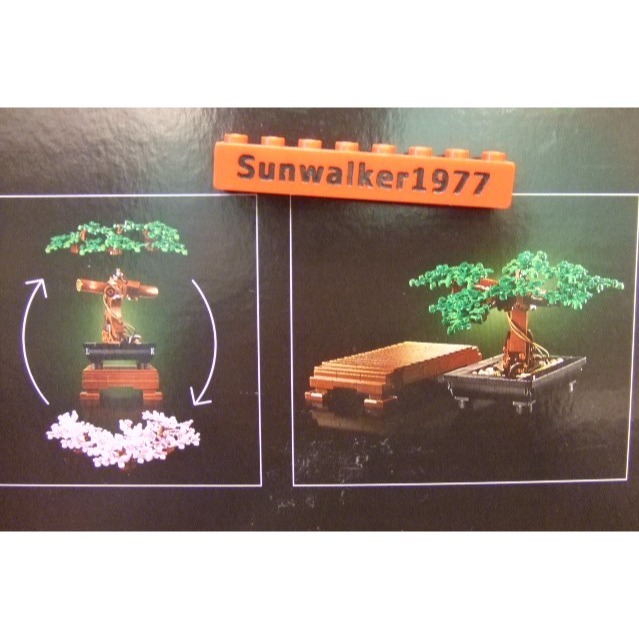 【積木2010】樂高 LEGO 10281 盆栽 Bonsai Tree / 植物 植栽 全新未拆-細節圖4