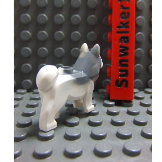 【積木2010】樂高 LEGO 哈士奇 Husky / 樂高 小狗 動物 狗-細節圖2