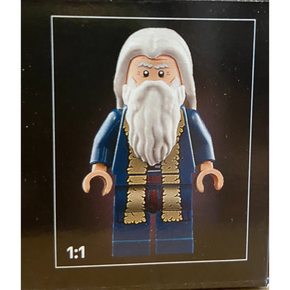 外盒擦損特價【積木2010】樂高 LEGO 10363 李奧納多 達文西 的飛行機器 / Icons 全新未拆-細節圖4