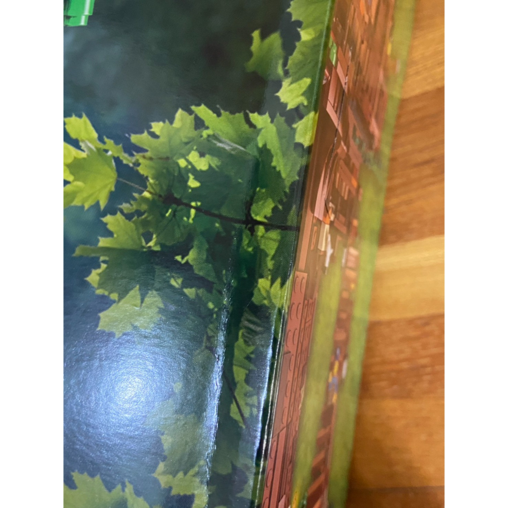 外盒有壓痕【積木2010】樂高 LEGO 21318 樹屋 / IDEAS / BR-2F-細節圖2