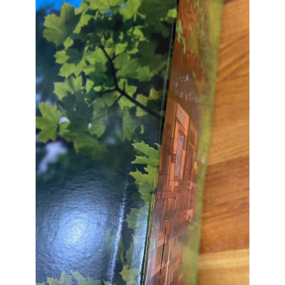 外盒有壓痕【積木2010】樂高 LEGO 21318 樹屋 / IDEAS / BR-2F-細節圖3