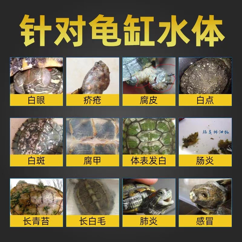 烏龜白眼康萬能護龜液鱷龜厭食感冒腐皮爛甲消毒非預防治療烏龜護理液-細節圖5