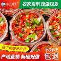 【滿200出貨】無油剁辣椒醬自制農家手工下飯醬蒜蓉香辣拌飯彩色雙椒辣醬0脂肪 拌飯菜 下飯菜 醬菜 鹹菜 瓶裝 拌飯-規格圖7