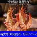 【滿200出貨】即食烤蝦干九節蝦干無鹽斑節蝦竹節蝦海鮮干貨孕婦兒童零食 蝦仁乾 小蝦米 大蝦米 金勾蝦 金鉤蝦 乾蝦米-規格圖6