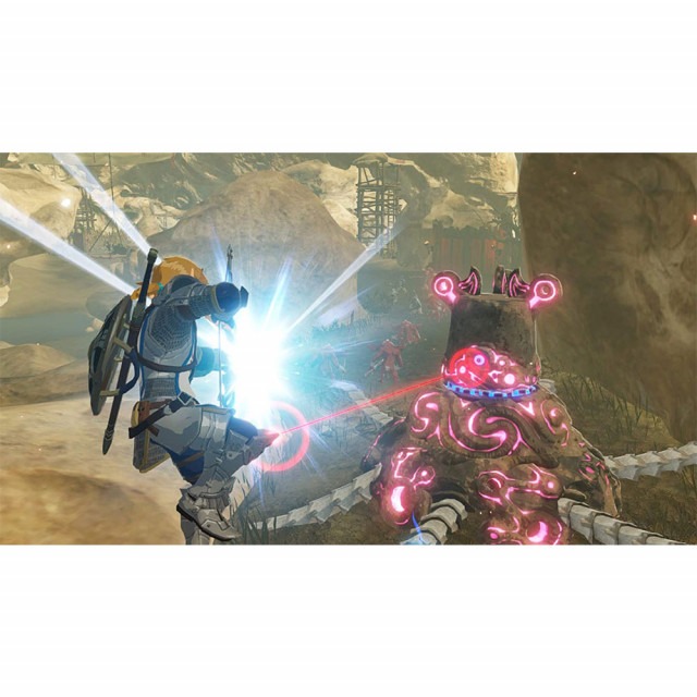 【東湖夜貓電玩】Nintendo 任天堂 NS Switch 薩爾達無雙 災厄的默示錄 中文版-細節圖4