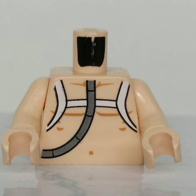 &lt;樂高人偶小舖&gt;正版樂高LEGO 特殊79 裸體 星際大戰 75203 6032145 絕版 稀有 人偶 單個身體