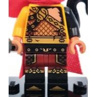 &lt;樂高人偶小舖&gt;正版樂高LEGO 特殊 身體 邪惡獼猴 士兵 悟空小俠 城堡 齊天大聖 6310346 6342502