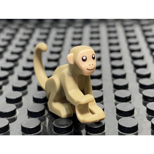 &lt;樂高人偶小舖&gt;正版樂高LEGO 動物61 小猴子 沙色 可愛動物 6343797 配件