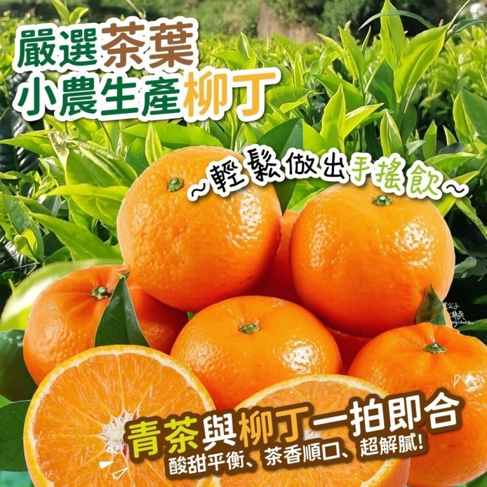 古坑柳丁青茶25入 X0468-細節圖2
