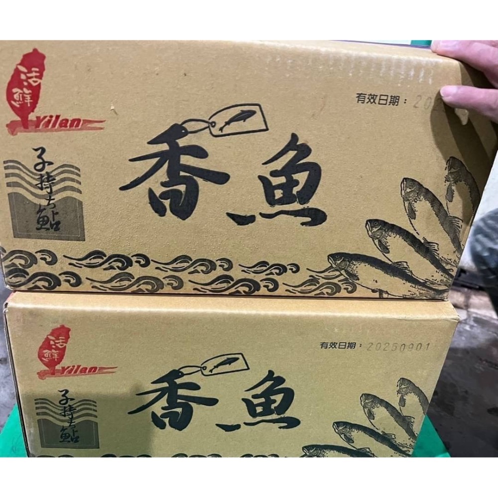 宜蘭爆蛋母香魚 1kg/盒-細節圖4