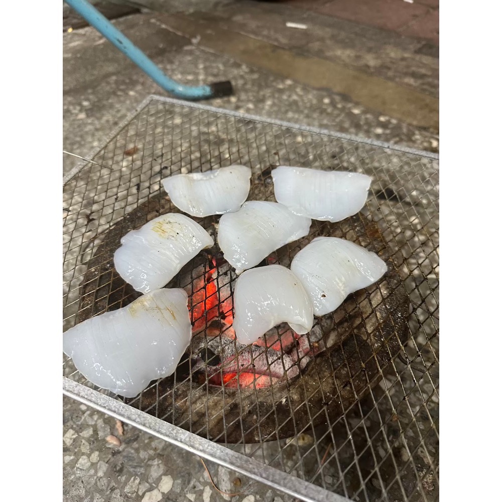 紋甲花枝 生食級 退冰即食 10片裝 and 800g/盒-細節圖2