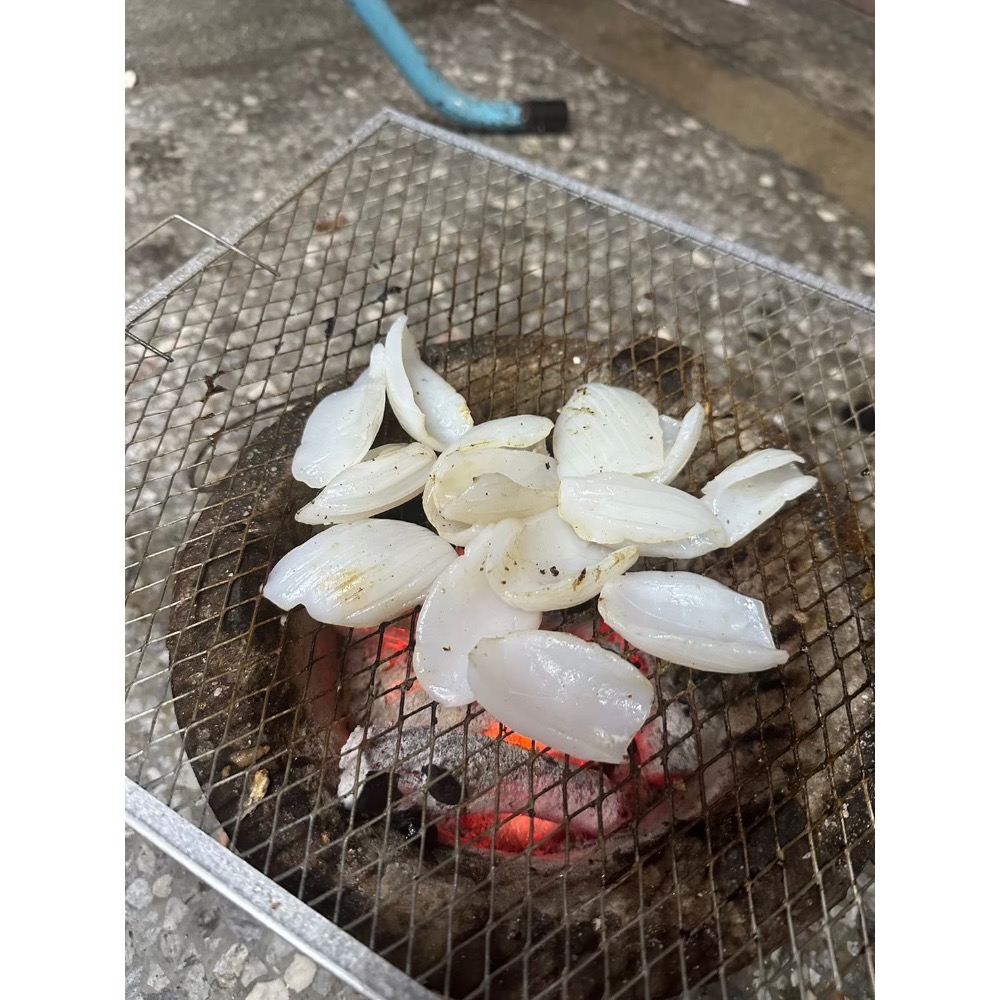 紋甲花枝 生食級 退冰即食 10片裝 and 800g/盒-細節圖3