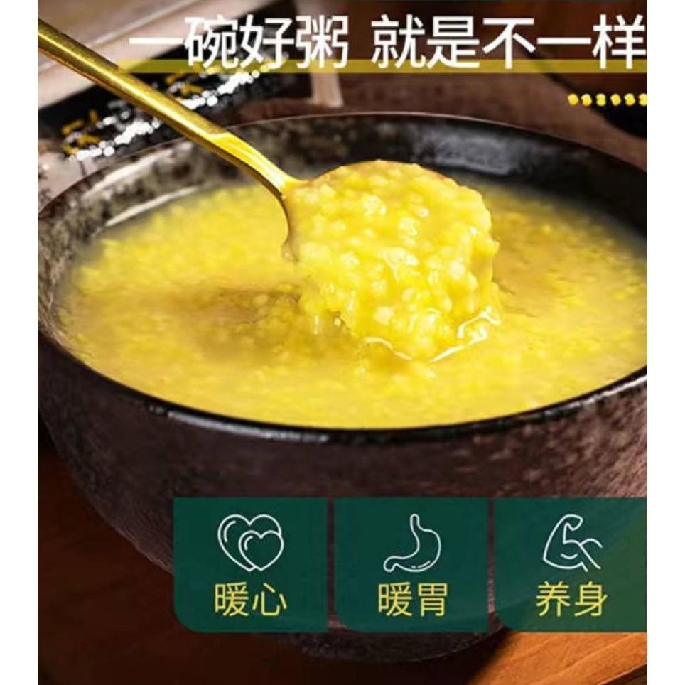 【現貨24H】小米粥 黃小米 山西黃小米 油厚 香濃 500g-細節圖5