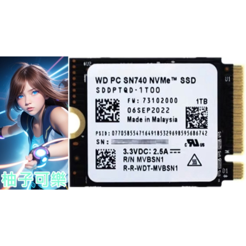 台灣現貨保固 [1TB/2TB] WD SN740 2230 SSD PCIe 4.0