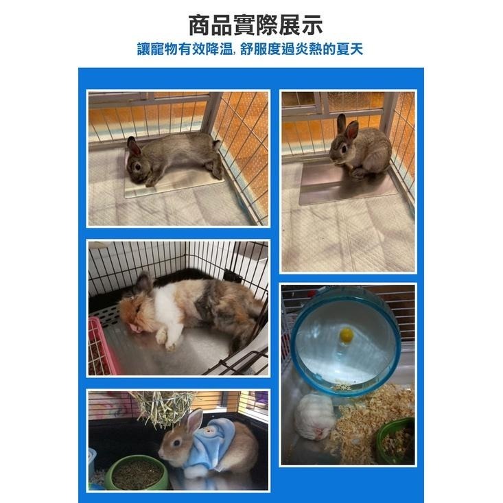 寵物涼感降溫散熱鋁板 寵物散熱 鋁板 寵物用品 降溫 降溫板 散熱板 鋁製涼板 兔子 天竺鼠 刺蝟 狗-細節圖8
