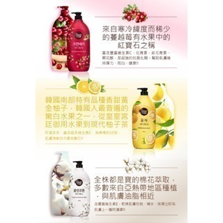 沃霸💞韓國沐浴乳 SHOWER MATE 微風如沐果香沐浴露 沐浴乳 沐浴露 1200ml-細節圖4