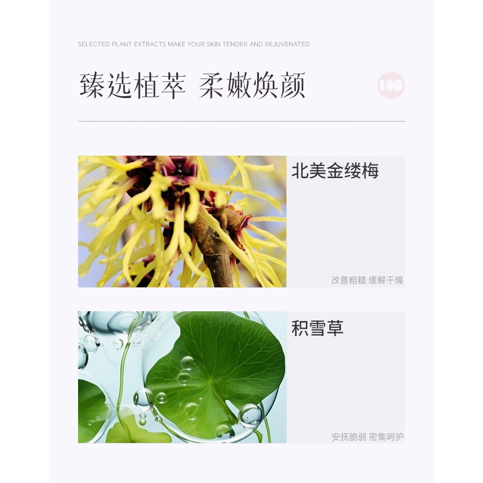 沃霸💞山茶花玻色因美頸霜 脖紋霜 撫平頸紋 提拉輪廓 緊緻提拉 保濕淡紋 敏感肌友善 頸部保養天鵝頸 滾珠按摩設計-細節圖6