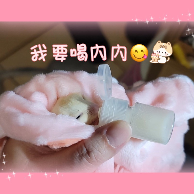 🇹🇼快速⚡️出貨🚚澳洲🇦🇺澳蜜多 💗 蜜袋鼯 🐹🦘小動物營養奶粉 💗 倍力Blue Bay 180公克【澳洲🇦🇺原裝 】-細節圖3