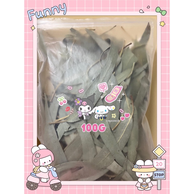 🇹🇼快速⚡️出貨🚚💨蜜袋鼯的最愛 🍃 桉樹葉 🍃🍋 檸檬桉 🍋 桉樹 按枝樹葉片🍃🍂 拉近蜜寶距離 蜜寶貝的最愛🌈-細節圖2