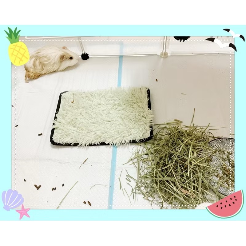 寵物尿布墊吸水乾爽-細節圖2