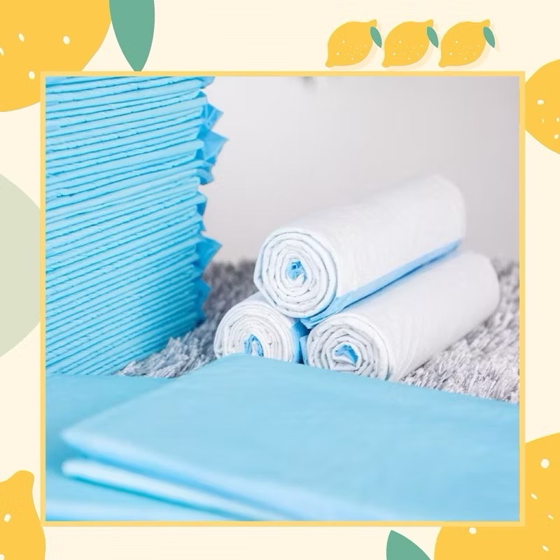 寵物尿布墊吸水乾爽-細節圖4