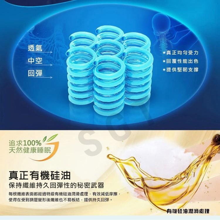 現貨快出【SGT】大升級7星級飯店抗菌防蟎枕頭 可機洗 羽絲絨真空記憶枕心 七星級枕頭-細節圖6