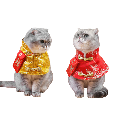貓咪唐裝 過年紅包 寵物紅包披風 新年寵物唐裝 過年衣服 寵物春節 貓項圈 寵物衣服 過年披風 寵物唐裝 拜年衣服 貓-細節圖2