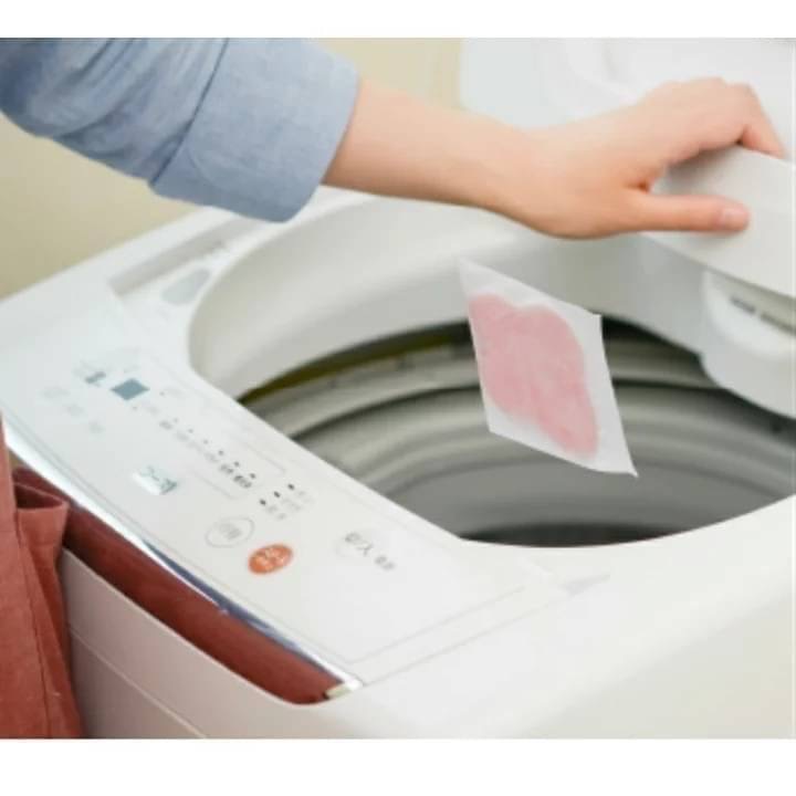 日本製 🇯🇵 洗衣槽抗菌 清潔 抗黴 消臭片（單片入）洗衣機防霉 防霉-細節圖2
