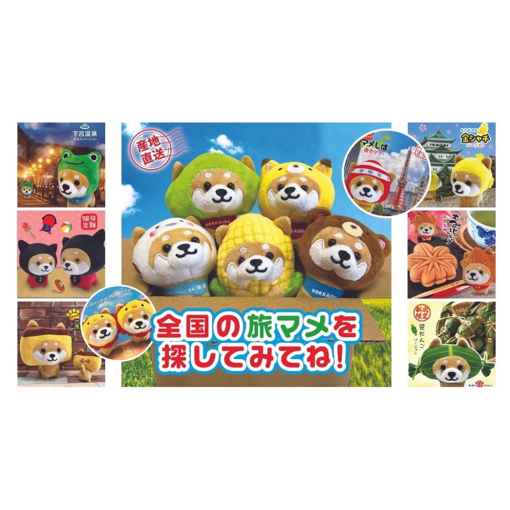 日本｜旅するマメしば 豆柴 富士山柴犬 旅行豆柴娃娃 豆柴地區限定 柴犬吊飾 旅行柴犬 鑰匙圈 吊飾 柴犬 旅柴 富士山-細節圖5