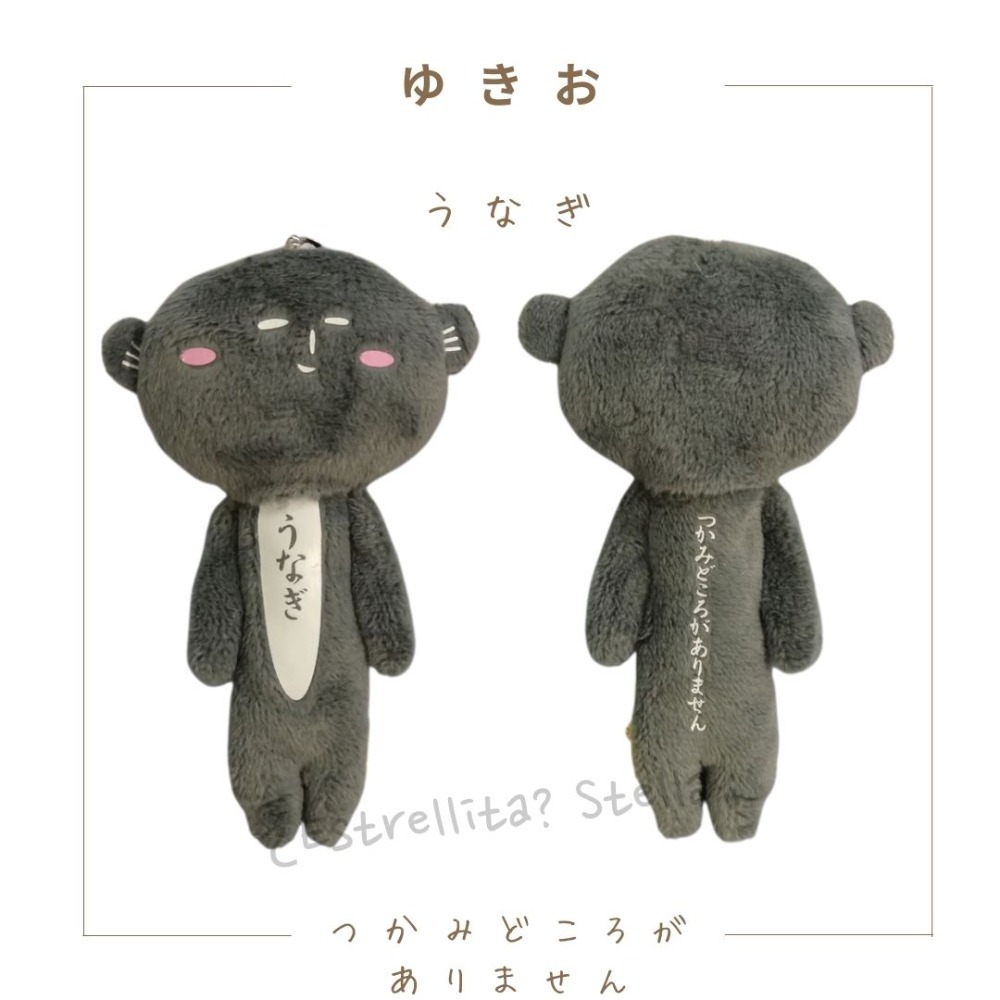 鰻魚(灰色)-靜岡