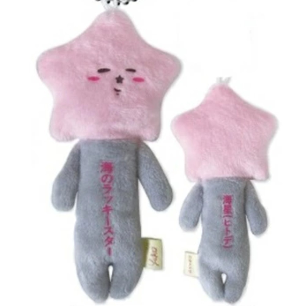 ⭐️海星（海的幸運星）