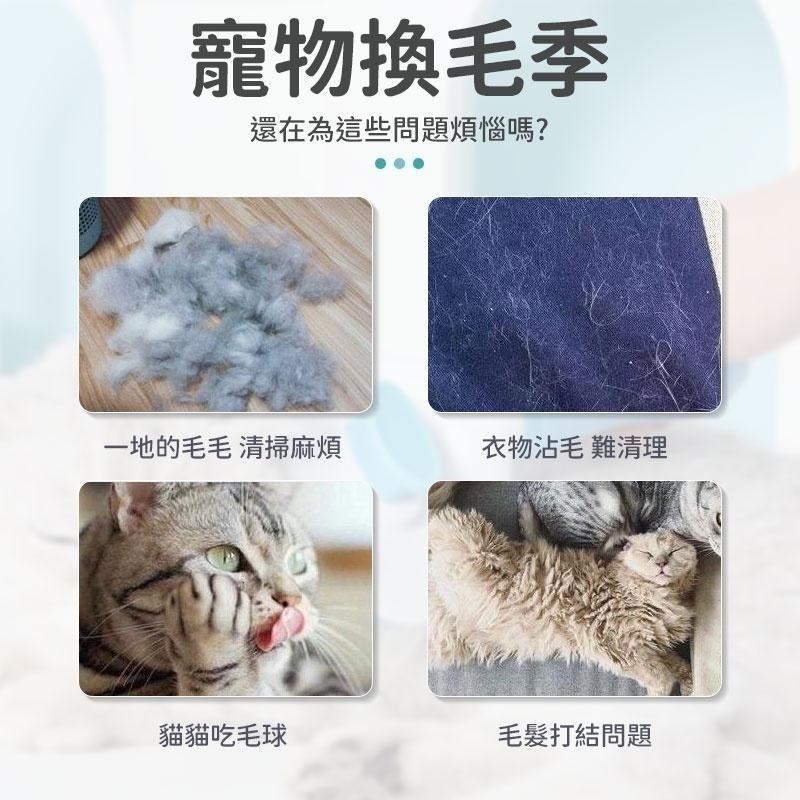 【同闆購物】寵物針梳 寵物梳 寵物梳子 除毛梳 貓咪梳毛器 寵物理毛梳 貓梳子 狗梳子 寵物梳毛 寵物除毛刷 除毛刷-細節圖2