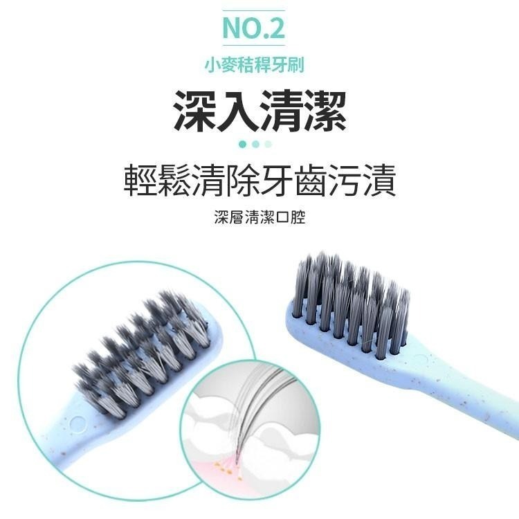 【同闆購物】小麥秸桿牙刷 牙刷 環保 旅行牙刷 小麥牙刷 一次性牙刷 外出牙刷  小牙刷 小麥秸稈 成人牙刷 竹炭軟毛-細節圖3
