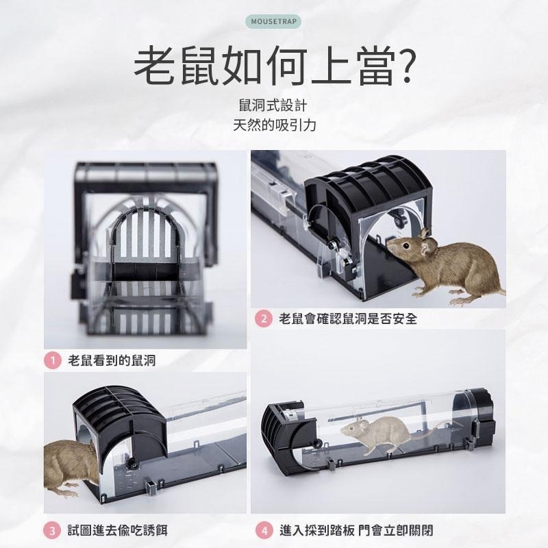 【同闆購物】鼠洞式捕鼠器  老鼠夾 捕鼠 驅鼠 老鼠板 老鼠夾 滅鼠器 抓老鼠 捕鼠器 捕鼠籠 滅鼠 捕鼠神器 老鼠籠-細節圖8