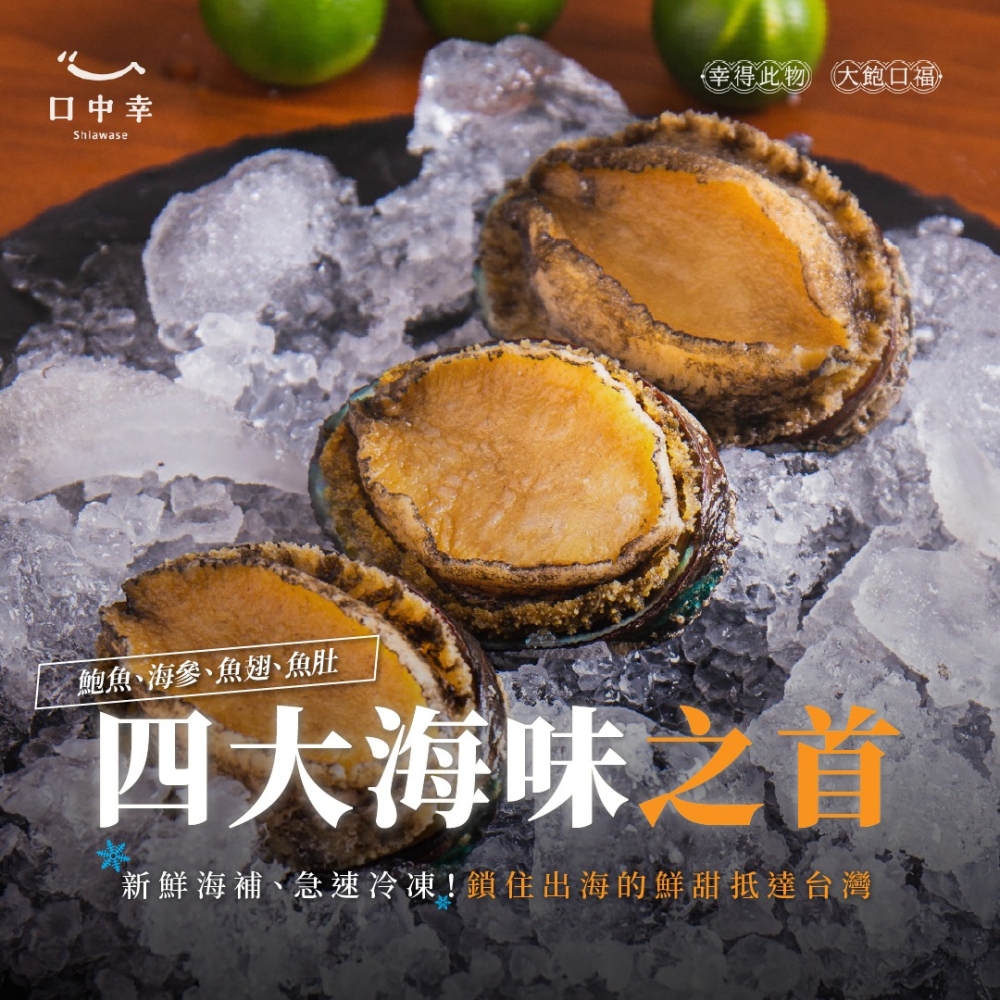 【口中幸】產地鮮凍帶殼小鮑魚 600g/盒 （約10顆／生凍鮑魚／九孔／冷盤／年菜）-細節圖3