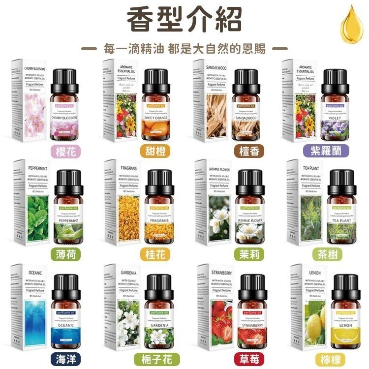 【SGS認證】水溶性香薰精油 香氛精油 水溶性精油 香氛精油 水氧機精油 薰衣草精油 玫瑰精油 芳香精油 香薰精油-細節圖8