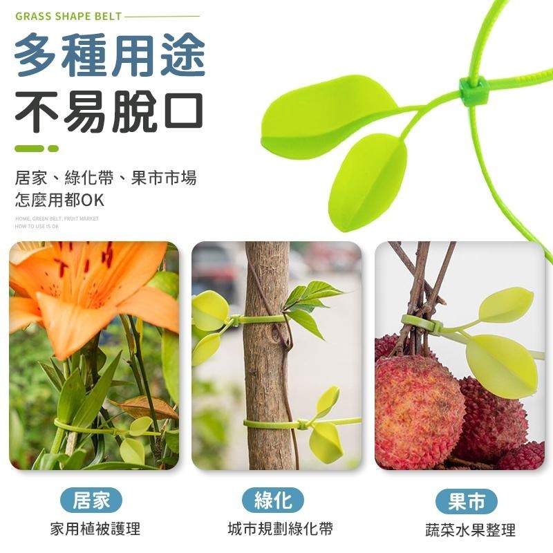 小草束帶 綠色小草 葉子束帶 裝飾束帶 車牌裝飾 紮線帶 樹葉束帶 理線帶 綁線帶 捆線帶 塑膠束帶 小草 束帶 理線器-細節圖6