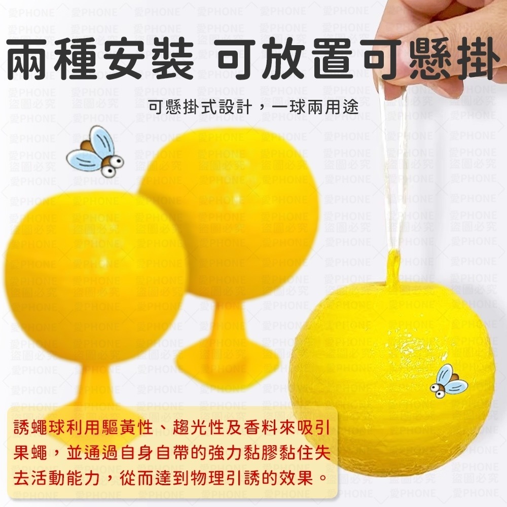 誘蠅球 捕蠅球 黏蒼蠅球 果蠅誘捕劑 果蠅餌劑 果實蠅引誘劑 誘捕器 黏蟲板 誘蟲球 捕蠅器 果蠅黏蟲球 高黏性黏蟲球-細節圖4