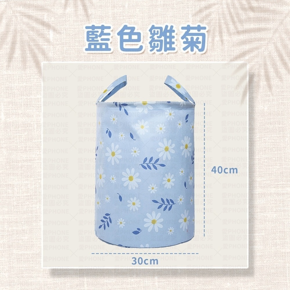 藍色雛菊｜30L